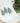 Three Trees - Customizable Cotton Tea Towel