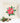 Poinsettia - Square Canvas Pillow