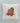 Red Tomatoes - Summer Square Canvas Pillow