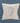 Swan Toile - Spring Square Canvas Pillow
