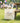 Authentic Americana Custom - Custom Canvas Tote Bag