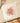 Poinsettia Flower - Cotton Pot Holder