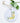 Lemon Branch Corner - Ornament