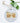 Fall Cornfield - Custom Ornament