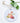 Honey and Fruit - Ornament