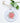 Poinsettia Flower - Ornament