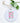 Hydrangea (Garden Edition) - Ornament