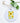 Sunflower (Garden Edition) - Ornament