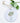 Citrus Vase - Ornament