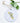 Lemon Branch - Ornament