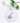 Hummingbird and Lantana Flower - Ornament