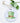 Green Hat - Ornament
