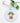 St. Patrick's Lamb - Ornament