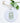 Eucalyptus Cross - Ornament