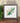 Green Oak Leaf - Framed Sign