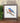 Eastern Bluebird on Branch - Oil Paint - Framed Sign