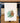 Owl in Forest - Cotton Tea Towel