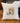 Pinecone Squirrel - Customizable Square Canvas Pillow