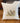 Raccoon Family - Spring Square Canvas Pillow