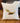 Watercolor Eagle - Square Canvas Pillow