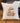 Fall Forest Mushrooms - Square Canvas Pillow