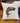 Yellowstone National Park Fish - Square Canvas Pillow