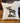 Rocky Mountain National Park Moose - Square Canvas Pillow