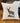 Yosemite National Park Deer - Square Canvas Pillow