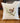 Wren on Spring Branch - Oil Paint - Square Canvas Pillow