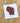 Red Plaid State - Custom Swedish Dish Cloth