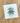Welcome to the Forest w/ City, State - Custom Swedish Dish Cloth